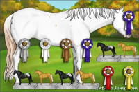 Horse Color:Gold Champagne Appaloosa 