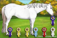 Horse Color:Red Roan Snowcap 