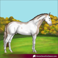 Horse Color:Red Dun Roan Splash Frame
