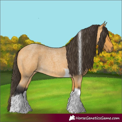 Horse Color:Buckskin Roan Tobiano 