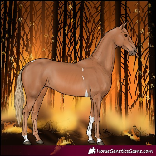 Horse Color:Chestnut Tobiano 