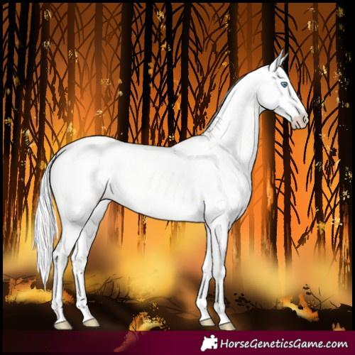 Horse Color:Cremello Dun Rabicano 