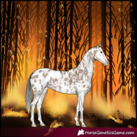 Horse Color:Liver Red Dun Sabino Splash Blanket 