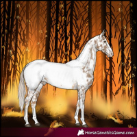 Horse Color:Chocolate Palomino Sabino Near Fewspot 