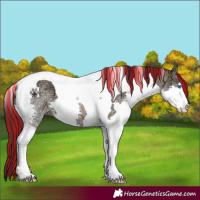 Horse Color:Painted Brown Ice Dun Splash Tobiano 