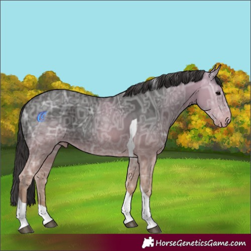 Horse Color:Smoky Black Ice Tobiano 