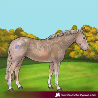 Horse Color:Chocolate Palomino Ice Tobiano