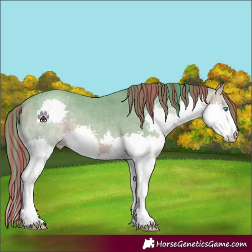 Horse Color:Painted Watercolor Sable Cream Champagne Splash 