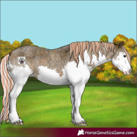 Horse Color:Painted Silver Brown Ice Roan Splash