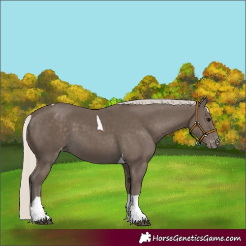 Horse Color:Silver Smoky Black Tobiano Varnish 