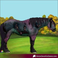 Horse Color:ERROR: UNKNOWN ANOMALY