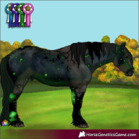 Horse Color:ERROR: UNKNOWN ANOMALY