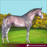 Horse Color:Watercolor Silver Brown Onyx Appaloosa 