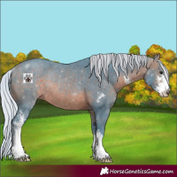 Horse Color:Watercolor Silver Brown Sabino Rabicano