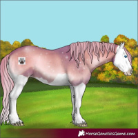 Horse Color:Watercolor Red Onyx Splash 