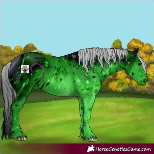 Horse Color:ERROR: UNKNOWN ANOMALY