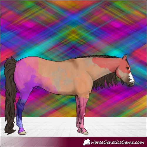 Horse Color:Liver Red Dun Rabicano 