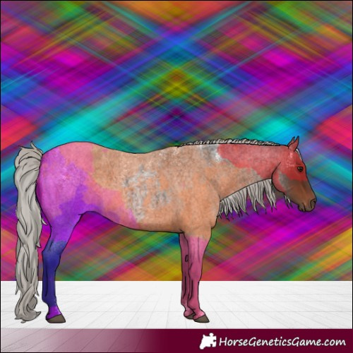 Horse Color:Powder White Silver Brown Roan 