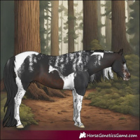 Horse Color:Powder White Brown Tobiano 