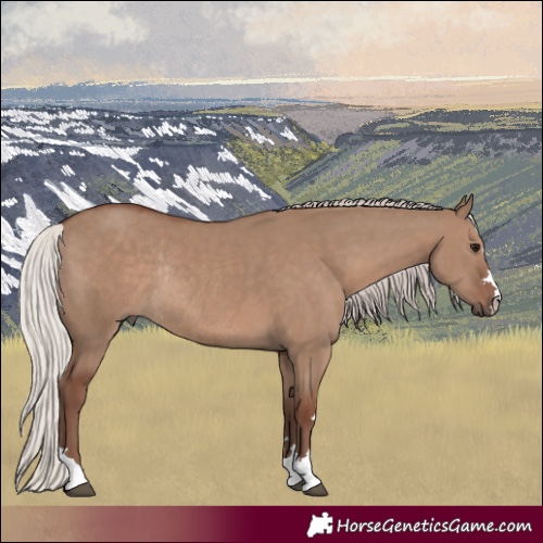 Horse Color:Silver Grullo Rabicano 