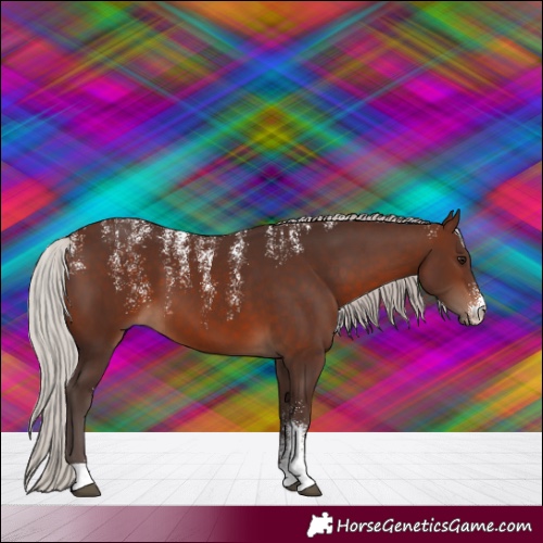 Horse Color:Powder White Silver Brown 
