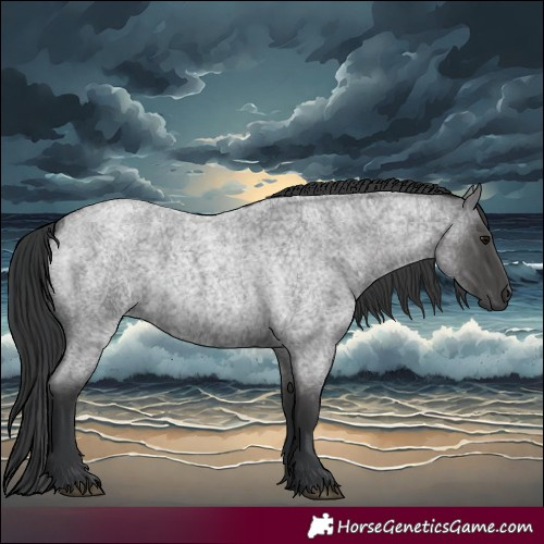 Horse Color:Blue Roan 