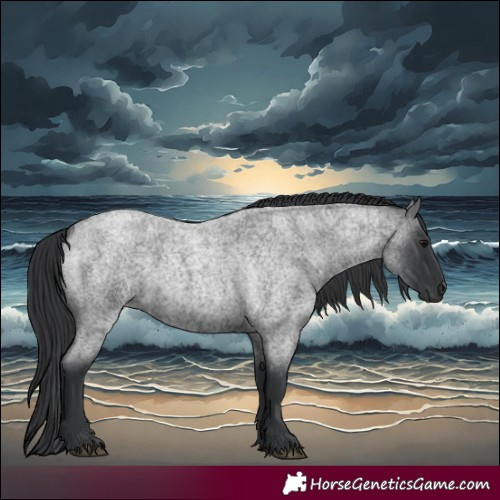 Horse Color:Blue Roan 