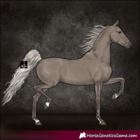 Horse Color:Silver Grullo
