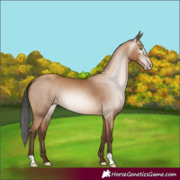 Horse Color:Gray Amber Champagne 