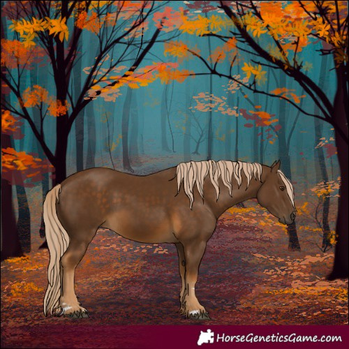 Horse Color:Chocolate Palomino 