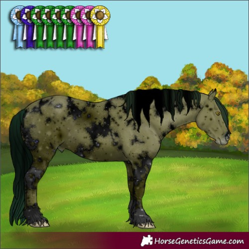 Horse Color:ERROR: UNKNOWN ANOMALY