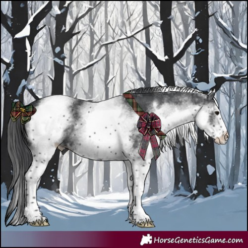 Horse Color:White Spotted Black 