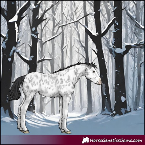 Horse Color:Blue Roan Splash Near Leopard 