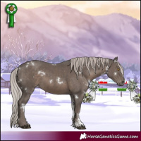 Horse Color:White Spotted Silver Black Sabino 