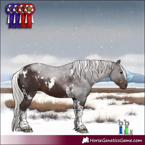 Horse Color:White Spotted Silver Brown Tobiano 