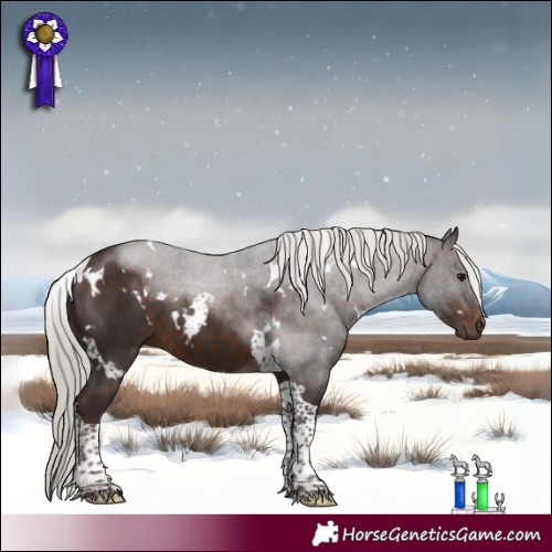 Horse Color:White Spotted Silver Brown Tobiano 