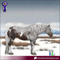 Horse Color:White Spotted Silver Brown Tobiano
