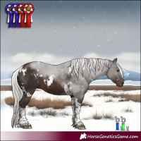 Horse Color:White Spotted Silver Brown Tobiano