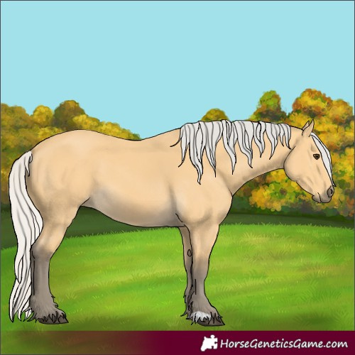 Horse Color:Silver Buckskin