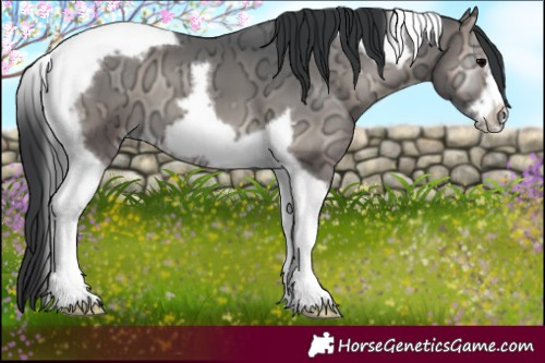 Horse Color:Blue Onyx Ice Tobiano Frame