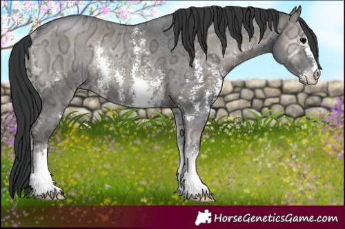Horse Color:Blue Onyx Ice Sabino Rabicano 