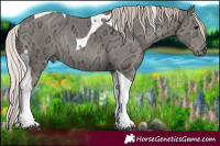 Horse Color:Silver Black Ice Tobiano Rabicano 