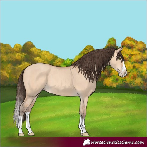 Horse Color:Unknown 