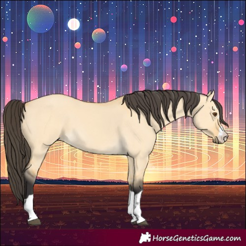 Horse Color:Buckskin Dun 