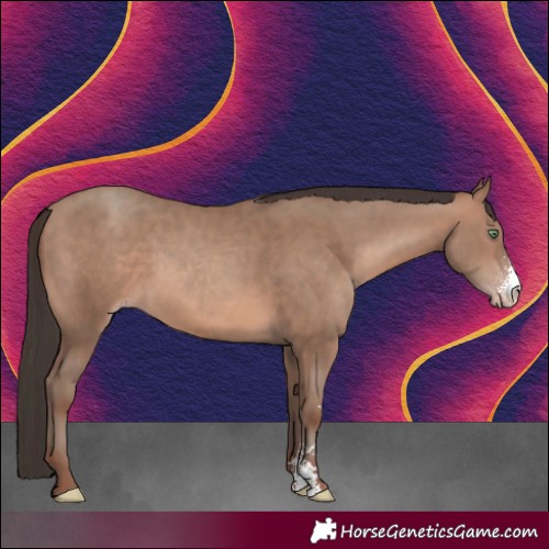 Horse Color:Sable Champagne Sabino 