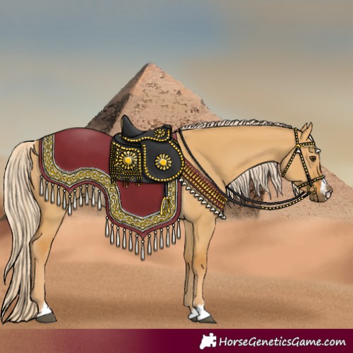 Horse Color:Palomino Dun Rabicano 