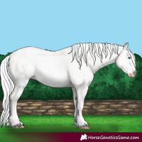 Horse Color:Cremello Dun 