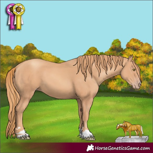 Horse Color:Gold Champagne 