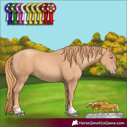 Horse Color:Gold Champagne 