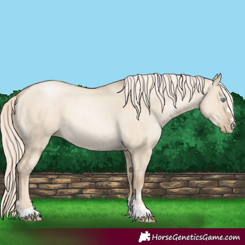 Horse Color:Chocolate Palomino Pearl Dun